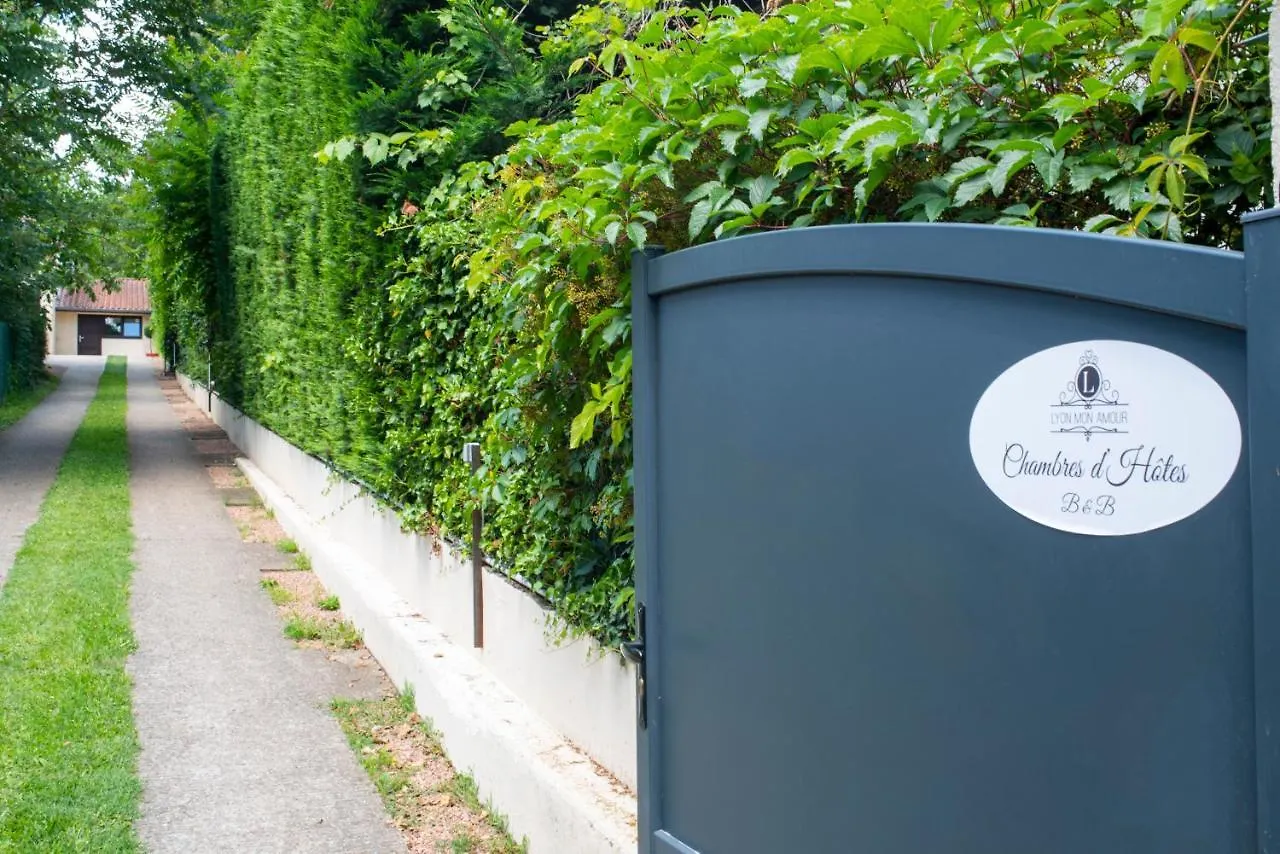 Lyon Mon Amour B&B 프랑스