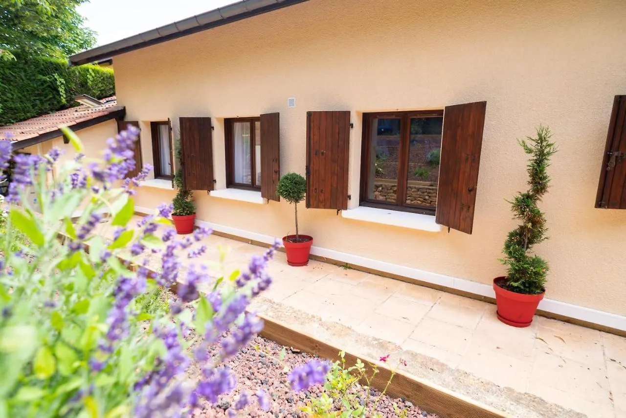 Lyon Mon Amour B&B